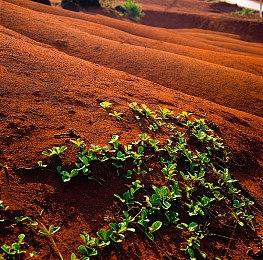 有网才能用 PS5轻薄版光驱首次配对需联网验证